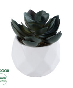 GloboStar® Artificial Garden SUCCULENT ECHEVERIA 20990 Διακοσμητικό Φυτό Παχύφυτο Εχεβέρια Υ8.5cm