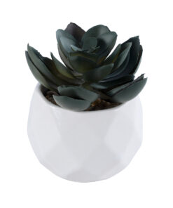 GloboStar® Artificial Garden SUCCULENT ECHEVERIA 20990 Διακοσμητικό Φυτό Παχύφυτο Εχεβέρια Υ8.5cm
