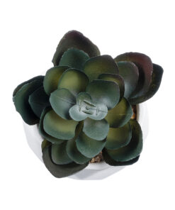 GloboStar® Artificial Garden SUCCULENT ECHEVERIA 20990 Διακοσμητικό Φυτό Παχύφυτο Εχεβέρια Υ8.5cm