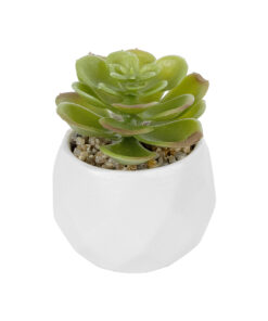 GloboStar® Artificial Garden SUCCULENT ECHEVERIA POTTED PLANT 20991 Διακοσμητικό Φυτό Εχεβέρια Φ6 x Υ8,5cm