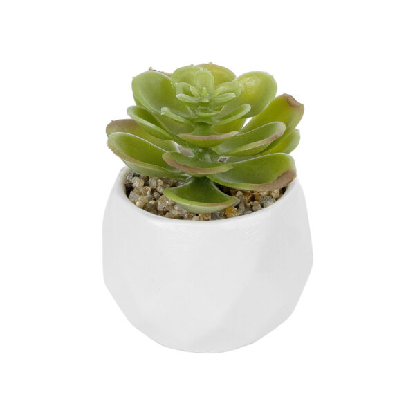 GloboStar® Artificial Garden SUCCULENT ECHEVERIA POTTED PLANT 20991 Διακοσμητικό Φυτό Εχεβέρια Φ6 x Υ8,5cm