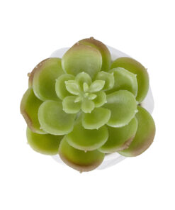 GloboStar® Artificial Garden SUCCULENT ECHEVERIA POTTED PLANT 20991 Διακοσμητικό Φυτό Εχεβέρια Φ6 x Υ8,5cm