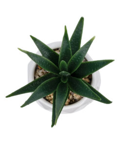 GloboStar® Artificial Garden SUCCULENT ALOE POTTED PLANT 20992 Διακοσμητικό Φυτό Αλόη Φ8 x Υ12cm