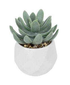 GloboStar® Artificial Garden SUCCULENT SEDEVERIA POTTED PLANT 20998 Διακοσμητικό Φυτό Σεδεβέρια Φ7 x Υ9cm