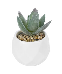 GloboStar® Artificial Garden SUCCULENT ALOE POTTED PLANT 20999 Διακοσμητικό Φυτό Αλόη Φ7 x Υ9cm