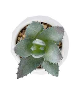 GloboStar® Artificial Garden SUCCULENT ALOE POTTED PLANT 20999 Διακοσμητικό Φυτό Αλόη Φ7 x Υ9cm