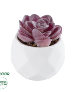 GloboStar® Artificial Garden SUCCULENT ECHEVERIA 21000 Διακοσμητικό Φυτό Παχύφυτο Εχεβέρια Υ7.5cm