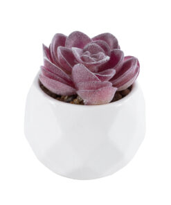 GloboStar® Artificial Garden SUCCULENT ECHEVERIA 21000 Διακοσμητικό Φυτό Παχύφυτο Εχεβέρια Υ7.5cm