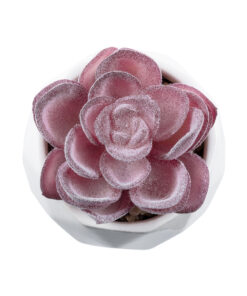 GloboStar® Artificial Garden SUCCULENT ECHEVERIA 21000 Διακοσμητικό Φυτό Παχύφυτο Εχεβέρια Υ7.5cm