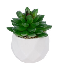 GloboStar® Artificial Garden SUCCULENT SEDEVERIA POTTED PLANT 21002 Διακοσμητικό Φυτό Σεδεβέρια Φ8 x Υ9cm