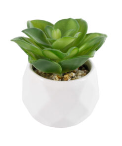 GloboStar® Artificial Garden SUCCULENT ECHEVERIA 21003 Διακοσμητικό Φυτό Παχύφυτο Εχεβέρια Υ8cm
