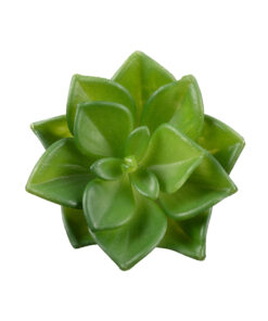 GloboStar® Artificial Garden SUCCULENT ECHEVERIA 21003 Διακοσμητικό Φυτό Παχύφυτο Εχεβέρια Υ8cm