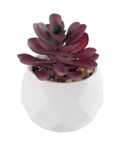 GloboStar® Artificial Garden SUCCULENT CRASSULA 21004 Διακοσμητικό Φυτό Παχύφυτο Κράσουλα Υ9.5cm