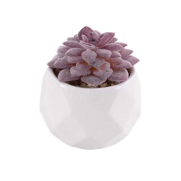 GloboStar® Artificial Garden SUCCULENT SEDEVERIA 21005 Διακοσμητικό Φυτό Παχύφυτο Σεντεβέρια Υ8cm