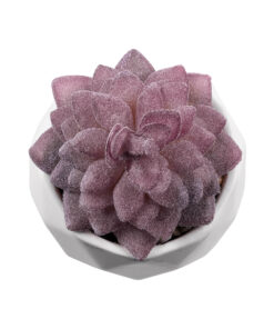 GloboStar® Artificial Garden SUCCULENT SEDEVERIA 21005 Διακοσμητικό Φυτό Παχύφυτο Σεντεβέρια Υ8cm