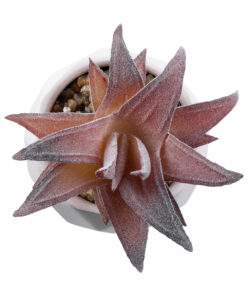 GloboStar® Artificial Garden SUCCULENT ALOE 21006 Διακοσμητικό Φυτό Παχύφυτο Αλόη Υ10cm