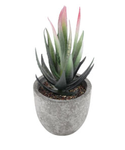 GloboStar® Artificial Garden SUCCULENT ALOE 21008 Διακοσμητικό Φυτό Παχύφυτο Αλόη Υ14cm