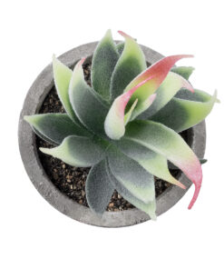 GloboStar® Artificial Garden SUCCULENT ALOE 21009 Διακοσμητικό Φυτό Παχύφυτο Αλόη Υ14cm