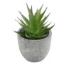 GloboStar® Artificial Garden SUCCULENT ALOE 21010 Διακοσμητικό Φυτό Παχύφυτο Αλόη Υ11cm