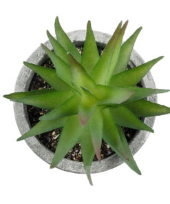 GloboStar® Artificial Garden SUCCULENT ALOE 21010 Διακοσμητικό Φυτό Παχύφυτο Αλόη Υ11cm