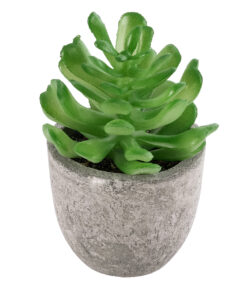 GloboStar® Artificial Garden SUCCULENT CRASSULA 21014 Διακοσμητικό Φυτό Παχύφυτο Κράσουλα Υ11.5cm