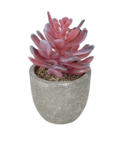 GloboStar® Artificial Garden SUCCULENT CRASSULA POTTED PLANT 21015 Διακοσμητικό Φυτό Κρασούλα Φ7 x Υ11,5cm