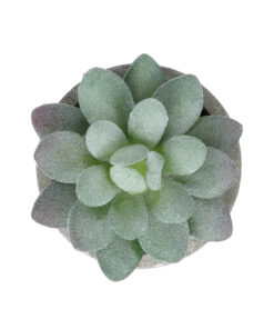 GloboStar® Artificial Garden SUCCULENT SEDEVERIA POTTED PLANT 21016 Διακοσμητικό Φυτό Σεδεβέρια Φ7 x Υ8cm