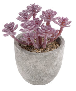 GloboStar® Artificial Garden SUCCULENT SEDUM 21017 Διακοσμητικό Φυτό Παχύφυτο Σέδο Υ10cm