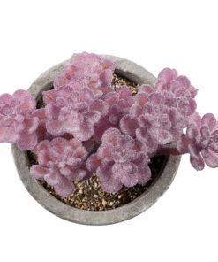 GloboStar® Artificial Garden SUCCULENT SEDUM 21017 Διακοσμητικό Φυτό Παχύφυτο Σέδο Υ10cm