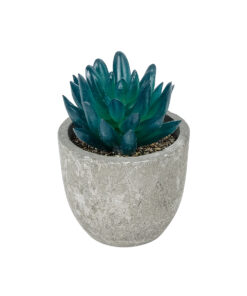 GloboStar® Artificial Garden SUCCULENT SEDEVERIA POTTED PLANT 21018 Διακοσμητικό Φυτό Σεδεβέρια Φ6,5 x Υ9cm