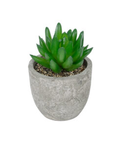 GloboStar® Artificial Garden SUCCULENT SEDEVERIA POTTED PLANT 21019 Διακοσμητικό Φυτό Σεδεβέρια Φ6,5 x Υ9cm