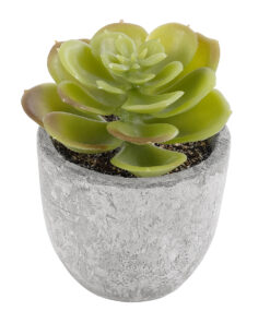 GloboStar® Artificial Garden SUCCULENT SEDEVERIA 21021 Διακοσμητικό Φυτό Παχύφυτο Σεντεβέρια Υ8.5cm