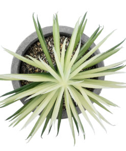 GloboStar® Artificial Garden SUCCULENT SENECIO 21024 Διακοσμητικό Φυτό Παχύφυτο Σενέκιο Υ12cm