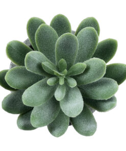 GloboStar® Artificial Garden SUCCULENT SEDEVERIA 21025 Διακοσμητικό Φυτό Παχύφυτο Σεντεβέρια Υ10.5cm