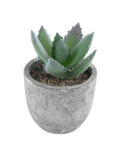 GloboStar® Artificial Garden SUCCULENT ALOE 21026 Διακοσμητικό Φυτό Παχύφυτο Αλόη Υ10.5cm