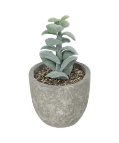 GloboStar® Artificial Garden SUCCULENT SEDEVERIA POTTED PLANT 21027 Διακοσμητικό Φυτό Σεδεβέρια Φ5 x Υ11cm