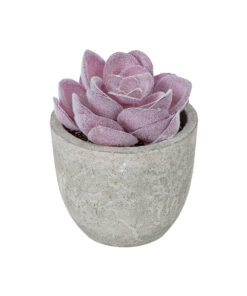 GloboStar® Artificial Garden SUCCULENT SEDEVERIA POTTED PLANT 21028 Διακοσμητικό Φυτό Σεδεβέρια Φ5x Υ11cm