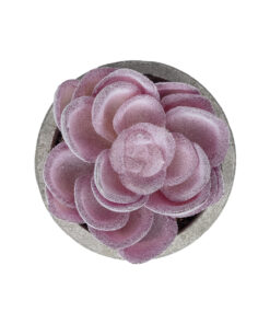 GloboStar® Artificial Garden SUCCULENT SEDEVERIA POTTED PLANT 21028 Διακοσμητικό Φυτό Σεδεβέρια Φ5x Υ11cm