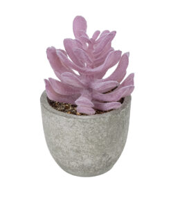 GloboStar® Artificial Garden SUCCULENT CRASSULA POTTED PLANT 21029 Διακοσμητικό Φυτό Κρασούλα Φ7 x Υ10,5cm