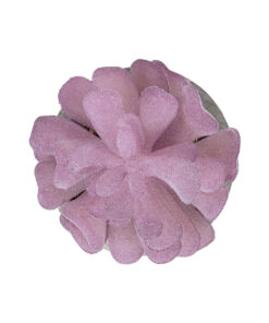 GloboStar® Artificial Garden SUCCULENT CRASSULA POTTED PLANT 21029 Διακοσμητικό Φυτό Κρασούλα Φ7 x Υ10,5cm