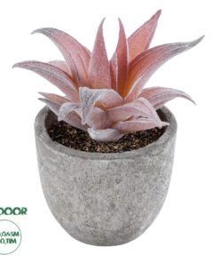 GloboStar® Artificial Garden SUCCULENT ALOE 21032 Διακοσμητικό Φυτό Παχύφυτο Αλόη Υ11cm