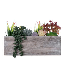 GloboStar® Artificial Garden SUCCULENT VARIUS PLANT POTTED 21033 Διακοσμητικό Φυτό Μίξ Μ29 x Π10 x Υ18cm