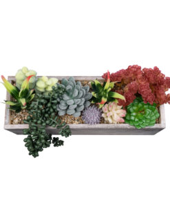 GloboStar® Artificial Garden SUCCULENT VARIUS PLANT POTTED 21033 Διακοσμητικό Φυτό Μίξ Μ29 x Π10 x Υ18cm