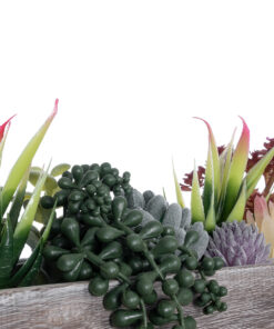 GloboStar® Artificial Garden SUCCULENT VARIUS PLANT POTTED 21033 Διακοσμητικό Φυτό Μίξ Μ29 x Π10 x Υ18cm
