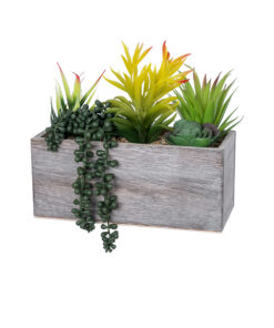 GloboStar® Artificial Garden SUCCULENT VARIUS PLANT POTTED 21034 Διακοσμητικό Φυτό Μίξ Μ23 x Π13 x Υ23cm