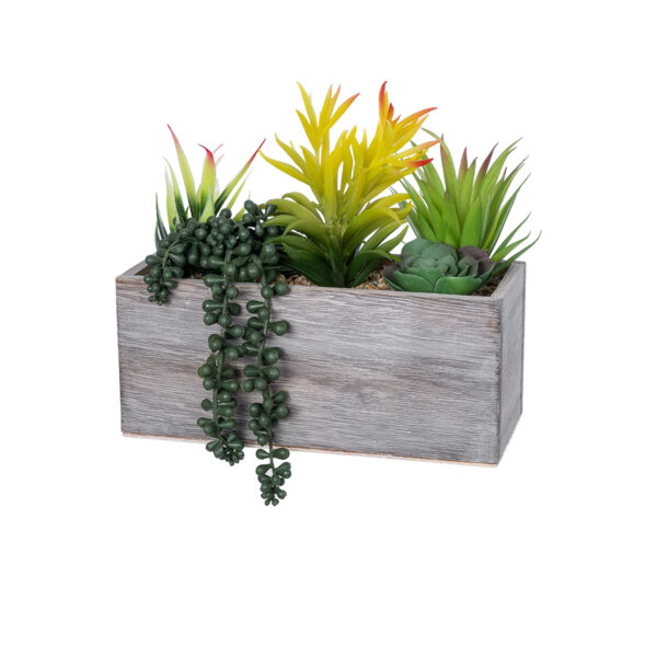 GloboStar® Artificial Garden SUCCULENT VARIUS PLANT POTTED 21034 Διακοσμητικό Φυτό Μίξ Μ23 x Π13 x Υ23cm