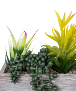 GloboStar® Artificial Garden SUCCULENT VARIUS PLANT POTTED 21034 Διακοσμητικό Φυτό Μίξ Μ23 x Π13 x Υ23cm