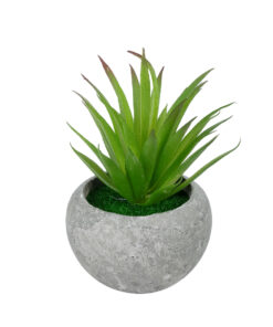 GloboStar® Artificial Garden AIR PLANT TILLANDSIA POTTED PLANT 21036 Διακοσμητικό Φυτό Τιλάντσια Φ12 x Υ15cm