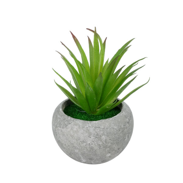 GloboStar® Artificial Garden AIR PLANT TILLANDSIA POTTED PLANT 21036 Διακοσμητικό Φυτό Τιλάντσια Φ12 x Υ15cm