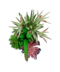 GloboStar® Artificial Garden SUCCULENT VARIUS PLANT POTTED 21039 Διακοσμητικό Φυτό Μίξ Μ17 x Υ20cm